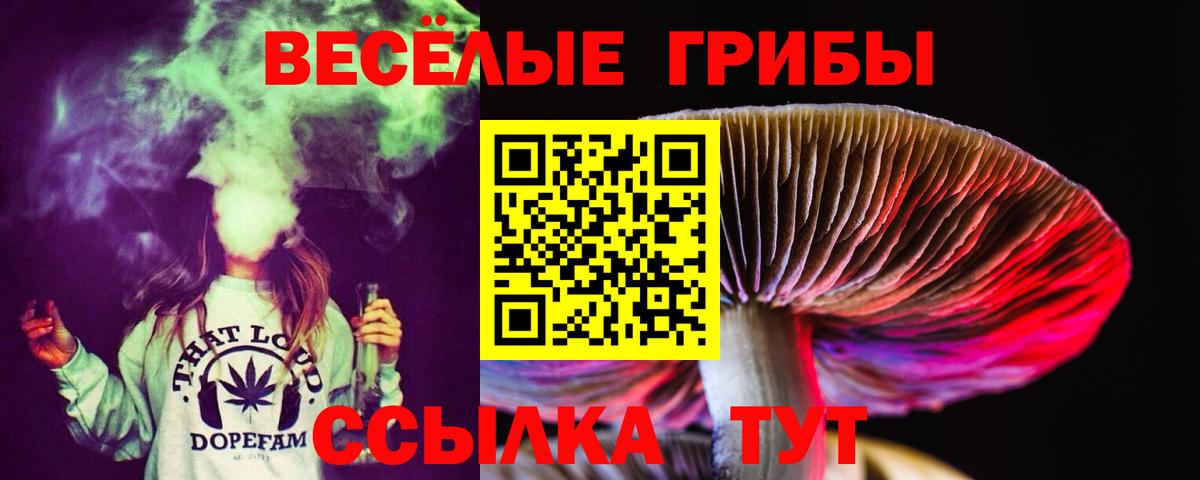 Псилоцибиновые грибы ЛСД  Вход с VPN  Зерноград  Галлюциногенные грибы Magic Shrooms 