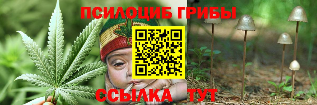 Псилоцибиновые грибы GOLDEN TEACHER Зерноград