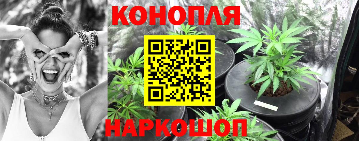 Конопля White Widow  Марихуана индика  Зерноград  Вход с VPN 